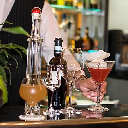酒店 皇家酒店 4*