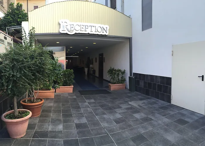 酒店 皇家酒店 科森扎